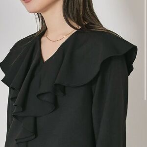 Vintage Elegant Black Ruffled Flounce trim long sleeve  Blouse